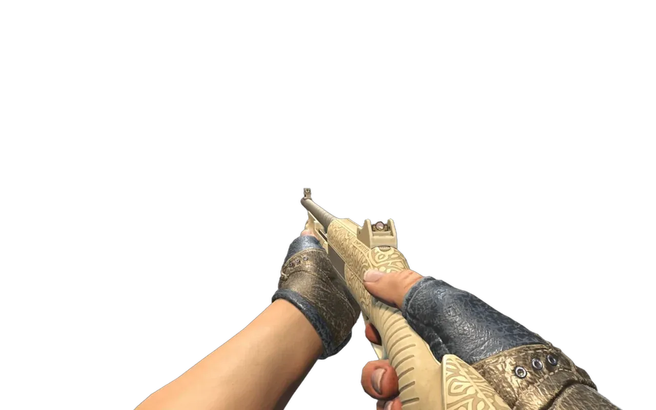 Nova Morning Sun with Bronzed Bloodhound Gloves CS2 skin combo