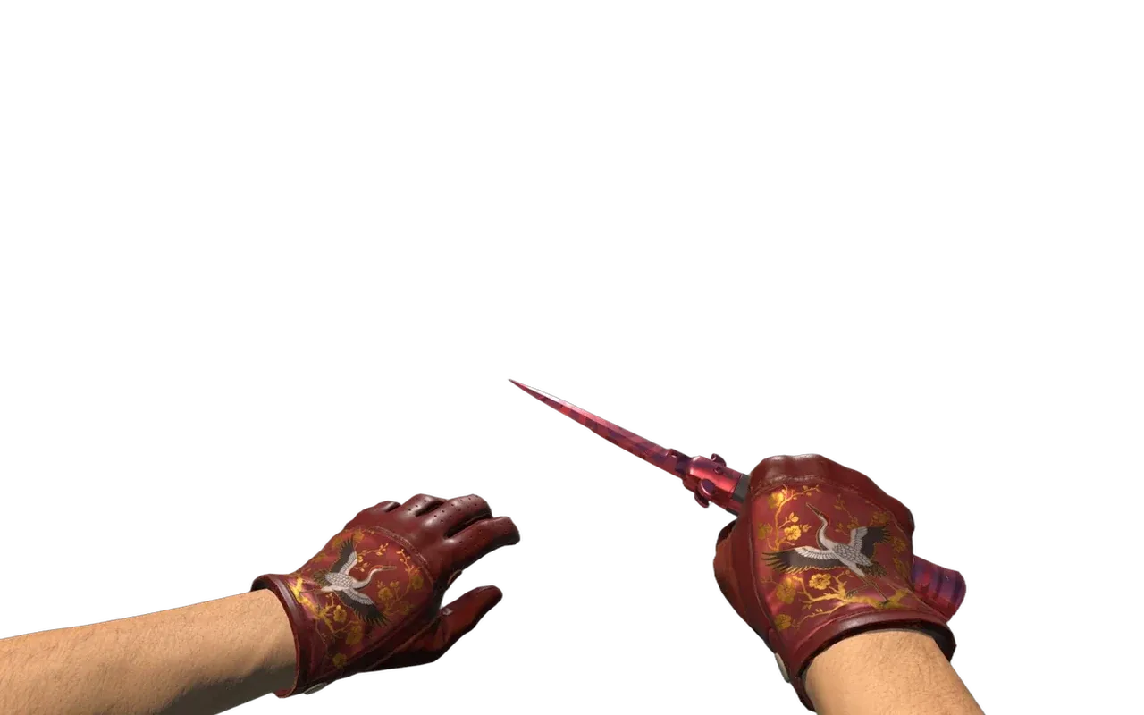 Stiletto Knife Slaughter with Brocade Crane Driver Gloves CS2 skin combo