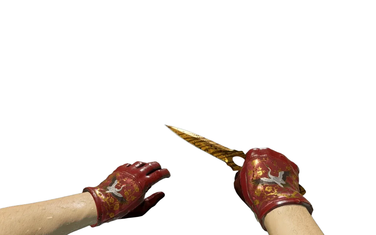 Skeleton Knife Tiger Tooth with Brocade Crane Driver Gloves CS2 skin combo