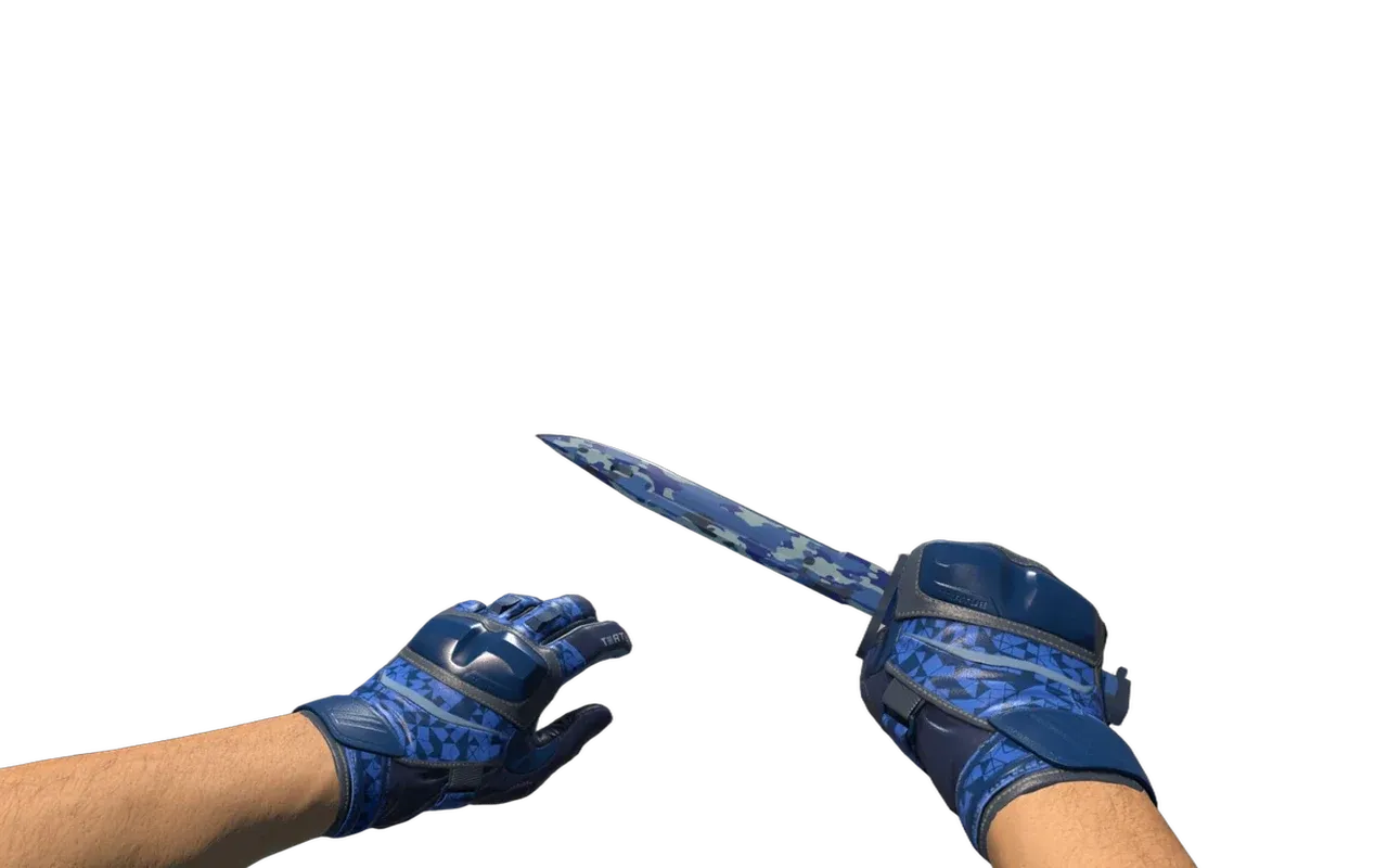 Bayonet Bright Water with Polygon Moto Gloves CS2 skin combo