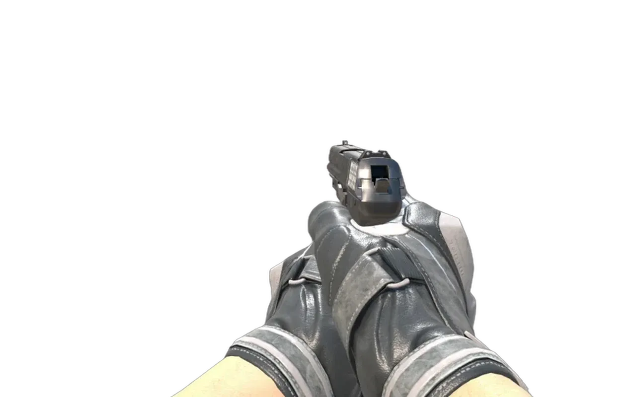 P2000 Panther Camo with Smoke Out Moto Gloves CS2 skin combo