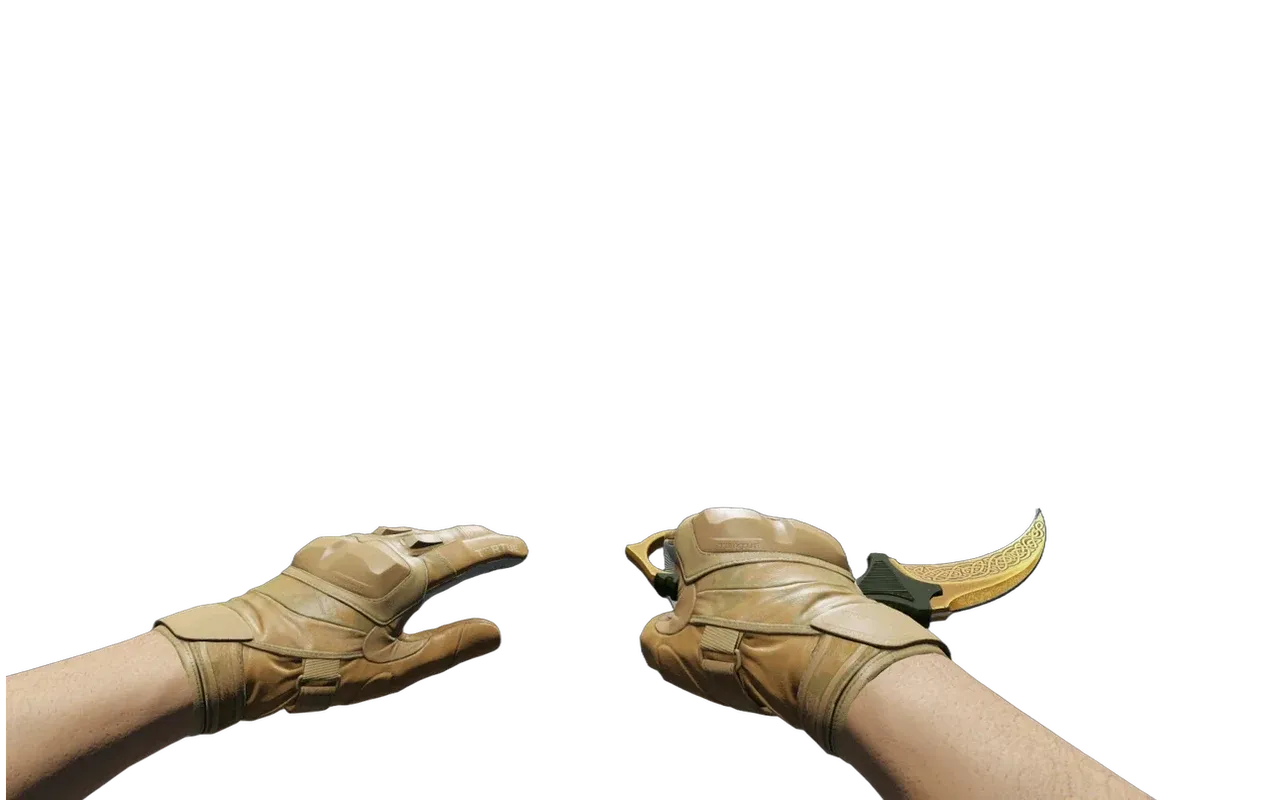 Karambit Lore with Transport Moto Gloves CS2 skin combo
