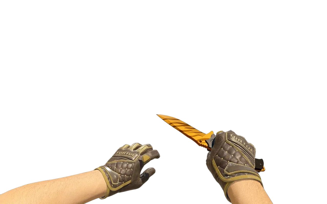 Nomad Knife Tiger Tooth with Chocolate Chesterfield Specialist Gloves CS2 skin combo