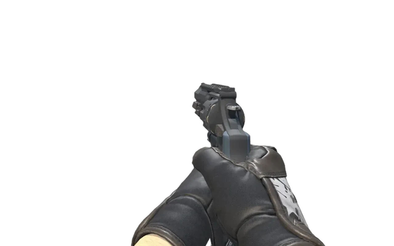 R8 Revolver Night with Blackbook Specialist Gloves CS2 skin combo