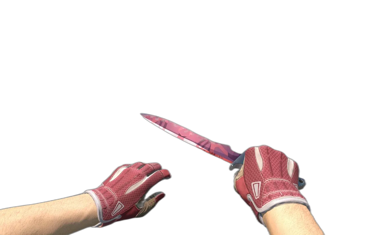 Classic Knife Slaughter with Slingshot Sport Gloves CS2 skin combo