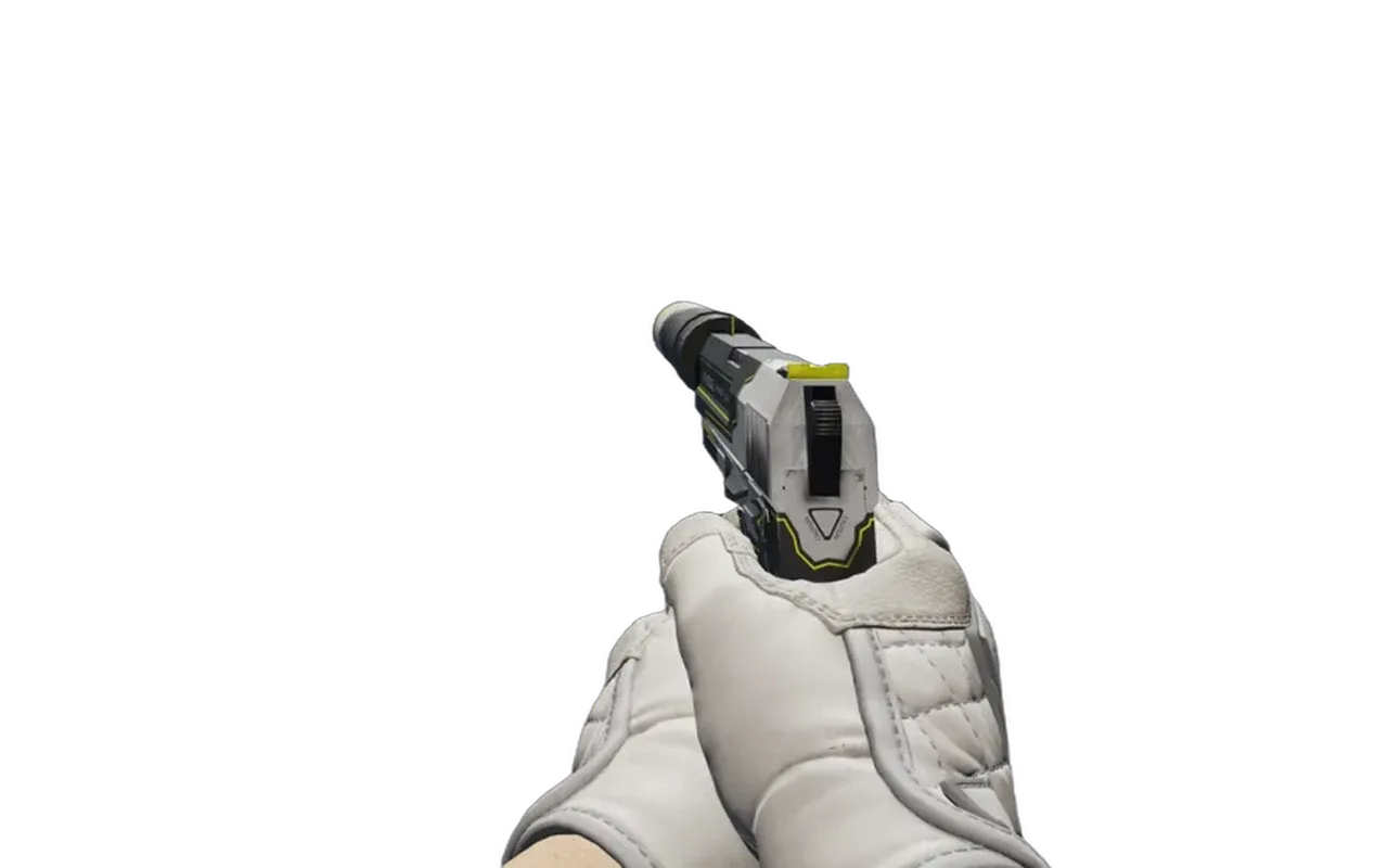 USP-S Torque with Pillow Punchers Specialist Gloves CS2 skin combo