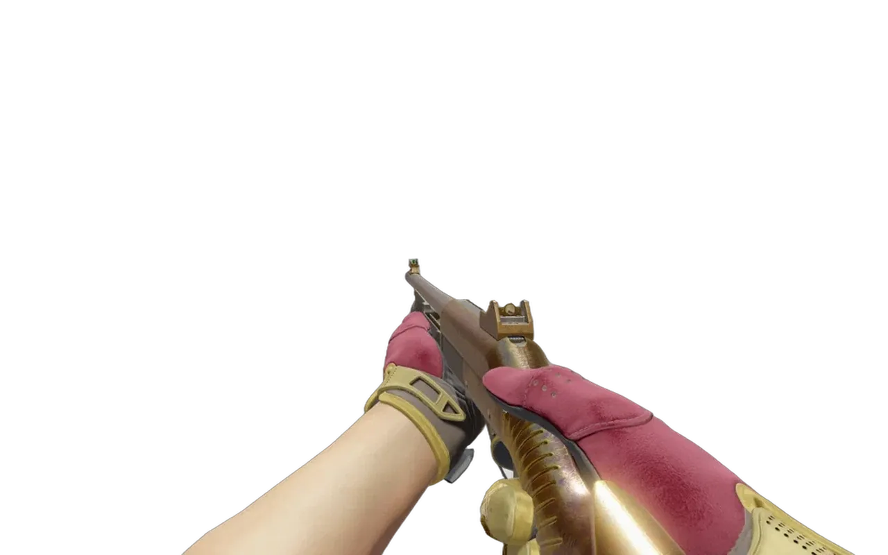 Nova Yorkshire with Occult Sport Gloves CS2 skin combo