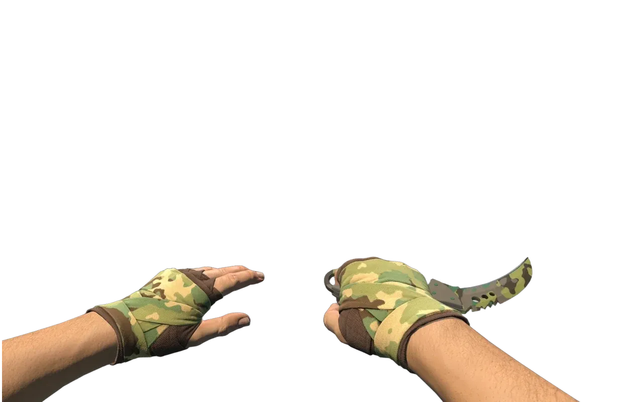 Talon Knife Boreal Forest with Arboreal Hand Wraps CS2 skin combo