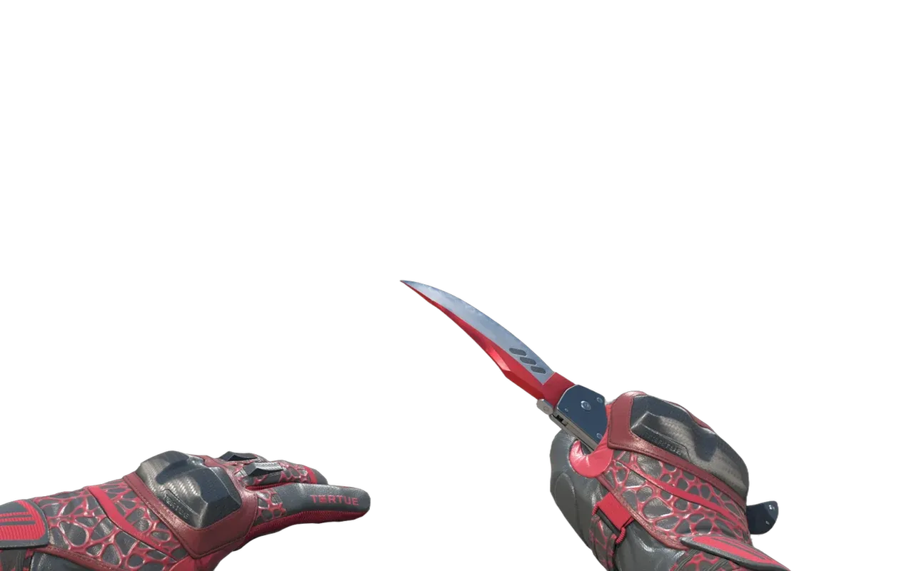 Falchion Knife Autotronic with Blood Pressure Moto Gloves CS2 skin combo
