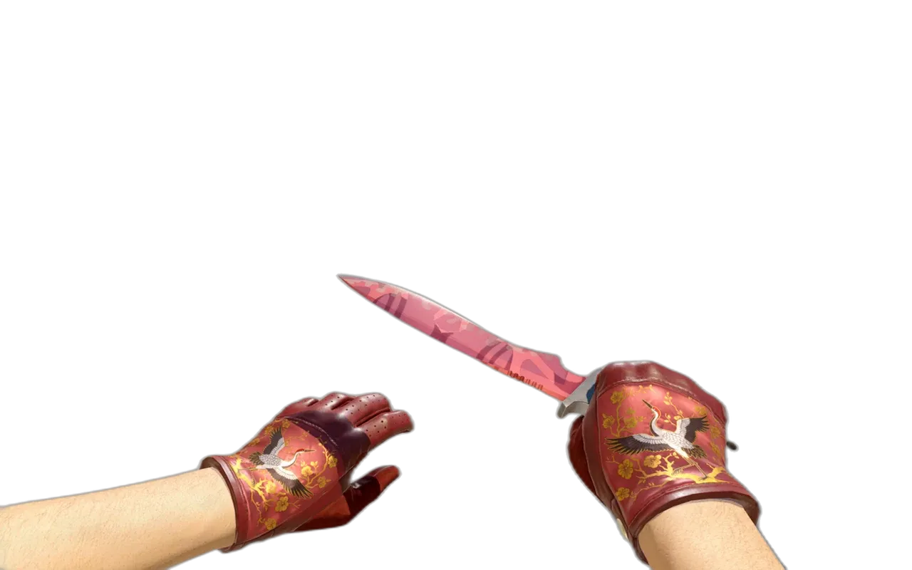 Classic Knife Slaughter with Brocade Crane Driver Gloves CS2 skin combo