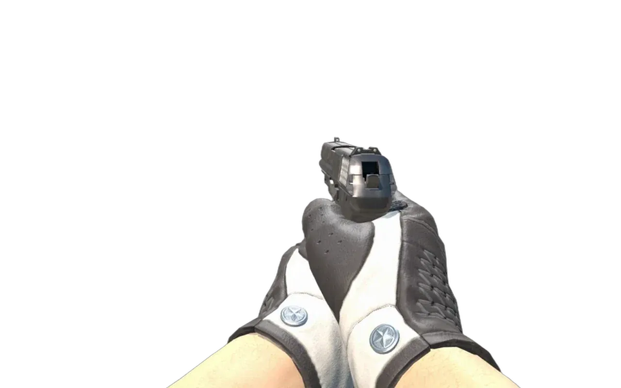 P2000 Panther Camo with Black Tie Driver Gloves CS2 skin combo
