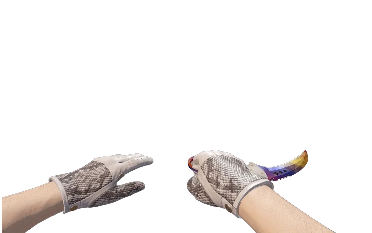 Talon Knife Marble Fade with King Snake Driver Gloves CS2 skin combo