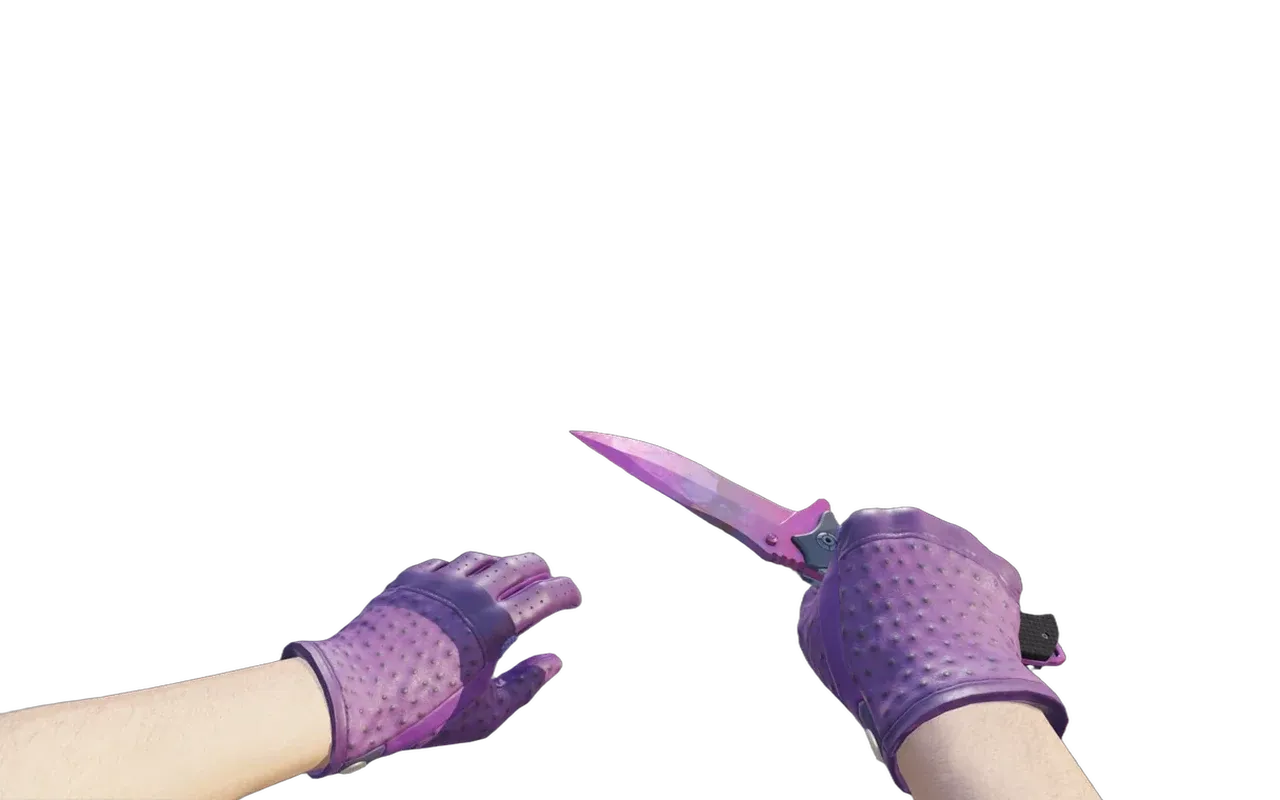 Nomad Knife Doppler Phase 2 with Plum Quill Driver Gloves CS2 skin combo