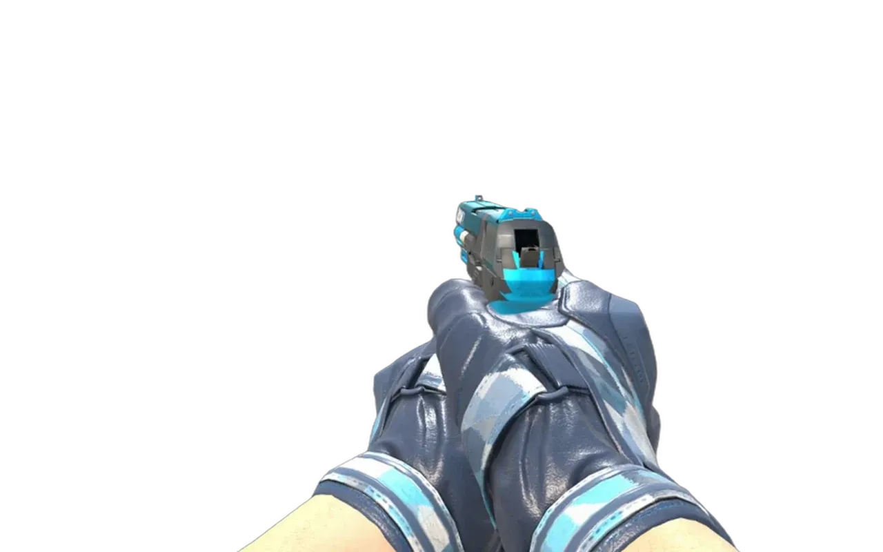 P2000 Handgun with Polygon Moto Gloves CS2 skin combo