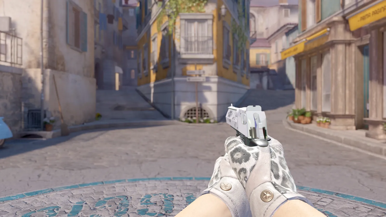 Desert Eagle Printstream Snow Leopard, CS2 skin combo screenshot