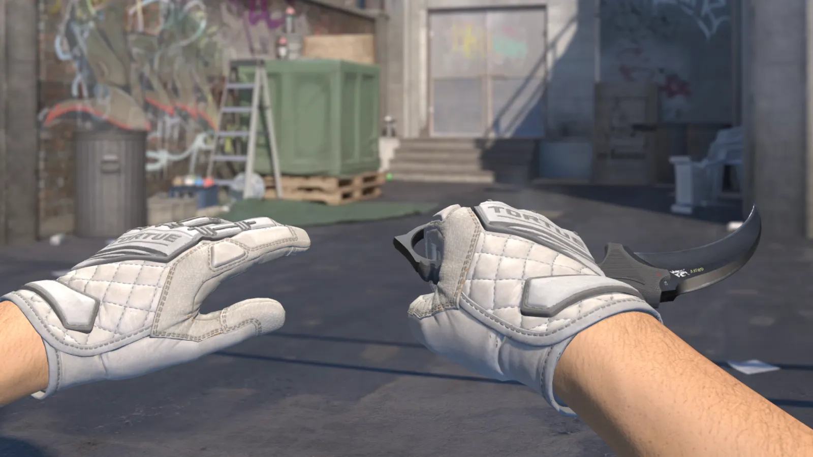 Karambit Pillow Punchers Gloves, CS2 skin combo screenshot