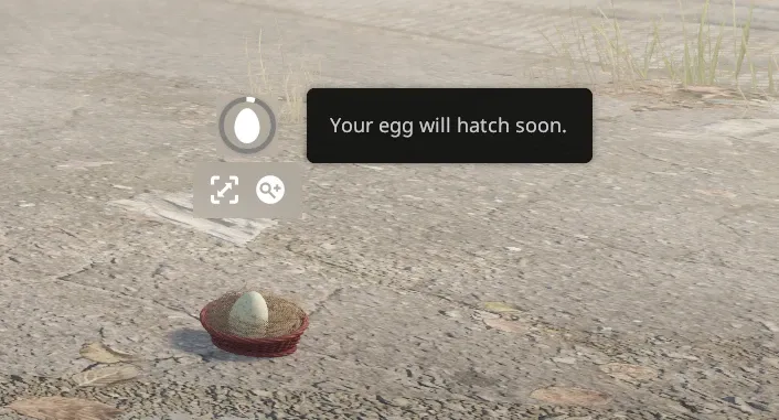 The Chicken Egg in its nest in the CS2 main menu with the status "Your egg will hatch soon."