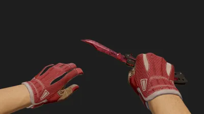 Butterfly Slaughter Slingshot Gloves, CS2 skin combo
