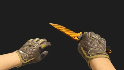 Nomad Tiger Tooth Chocolate Chesterfield Gloves, CS2 skin combo