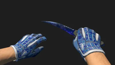 Flip Knife Doppler Amphibious Gloves, CS2 skin combo