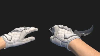 Karambit Pillow Punchers Gloves, CS2 skin combo