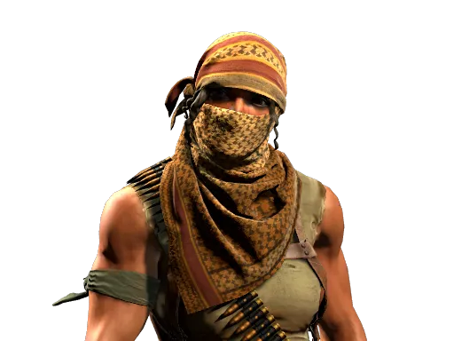 Trapper Aggressor, CS2 Terrorist agent skin