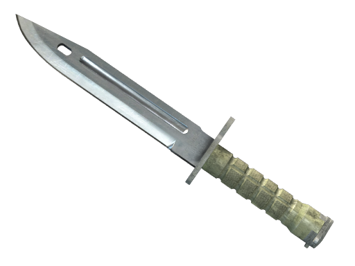 Bayonet, CS2 Bayonet skin