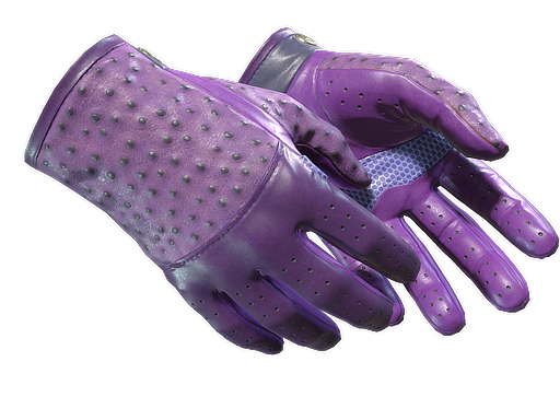 Driver Gloves | Plum Quill, an Extraordinary CS2 Driver Gloves skin