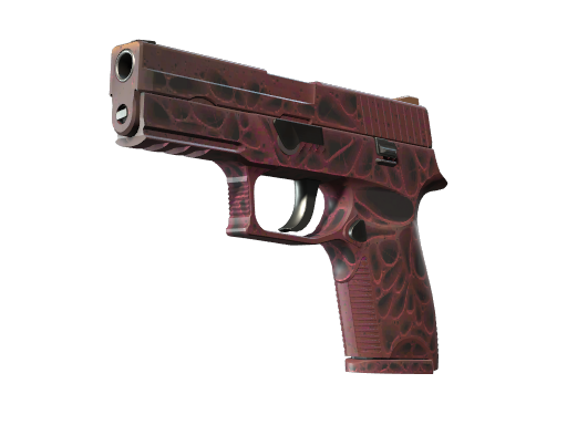 P250 | Contaminant, CS2 P250 skin