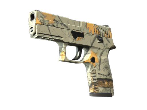 P250 | Modern Hunter, CS2 P250 skin