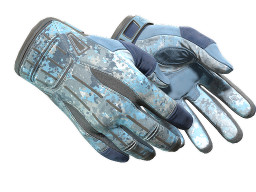 Sport Gloves | Frosty, CS2 Sport Gloves skin