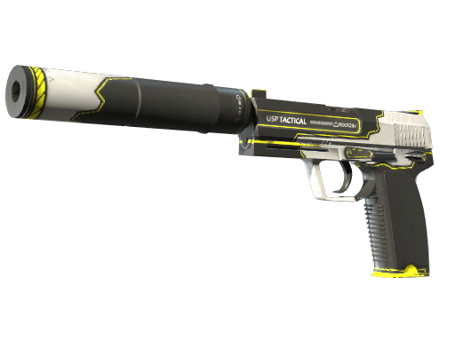 USP-S | Torque, CS2 USP-S skin